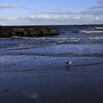 Le 29 * Tracy-sur-Mer